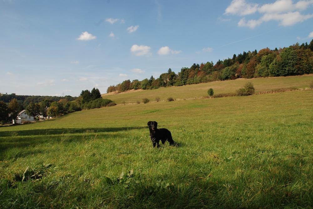Pension Robin Hood Willingen  Exterior photo