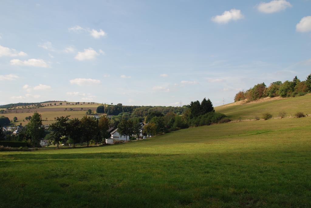 Pension Robin Hood Willingen  Exterior photo
