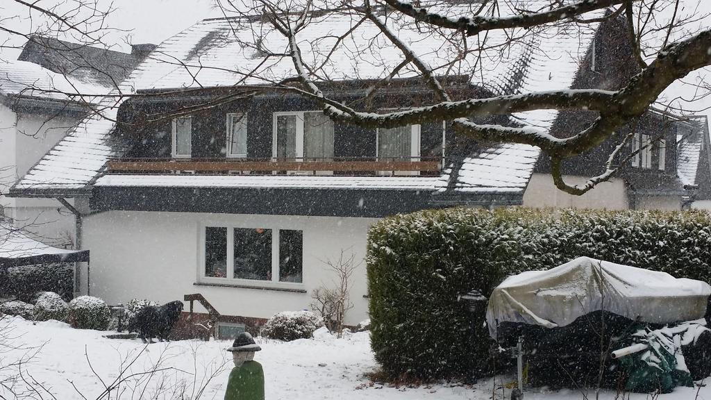 Pension Robin Hood Willingen  Exterior photo
