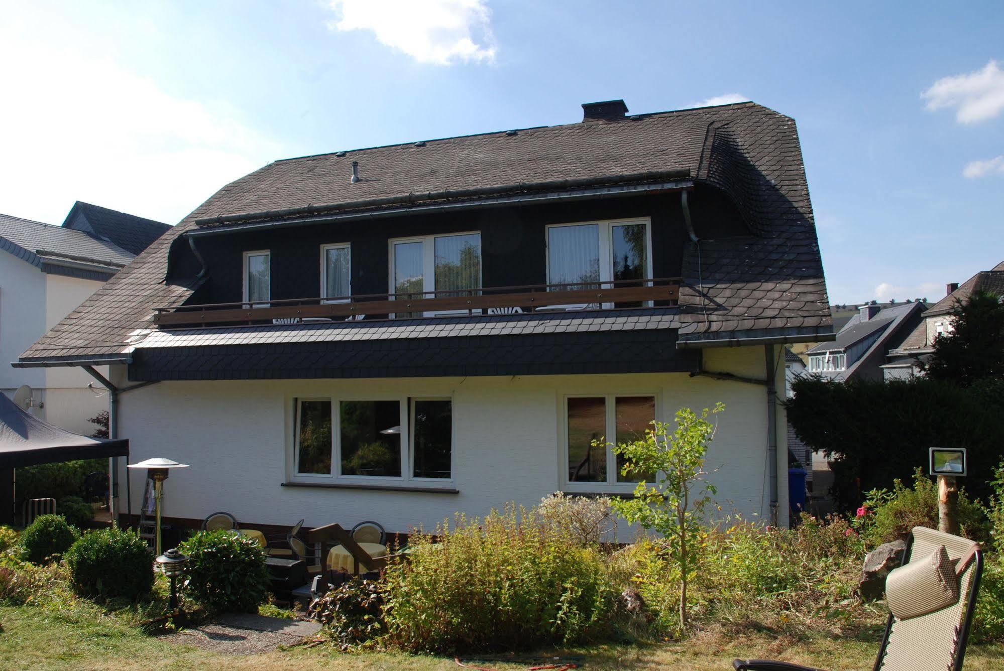Pension Robin Hood Willingen  Exterior photo